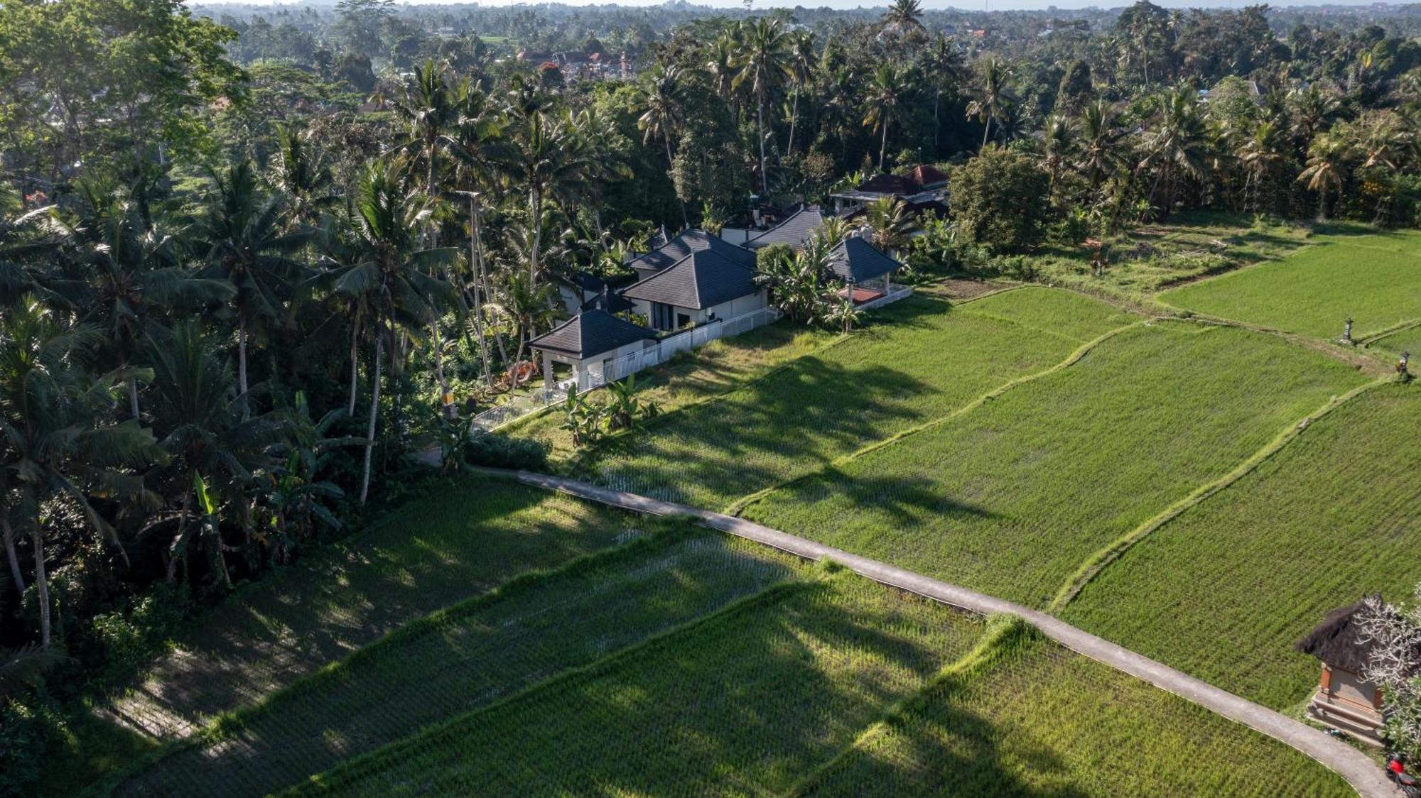 Capung Asri Eco Luxury Resort With Private Pool Villas Bedulu Dış mekan fotoğraf