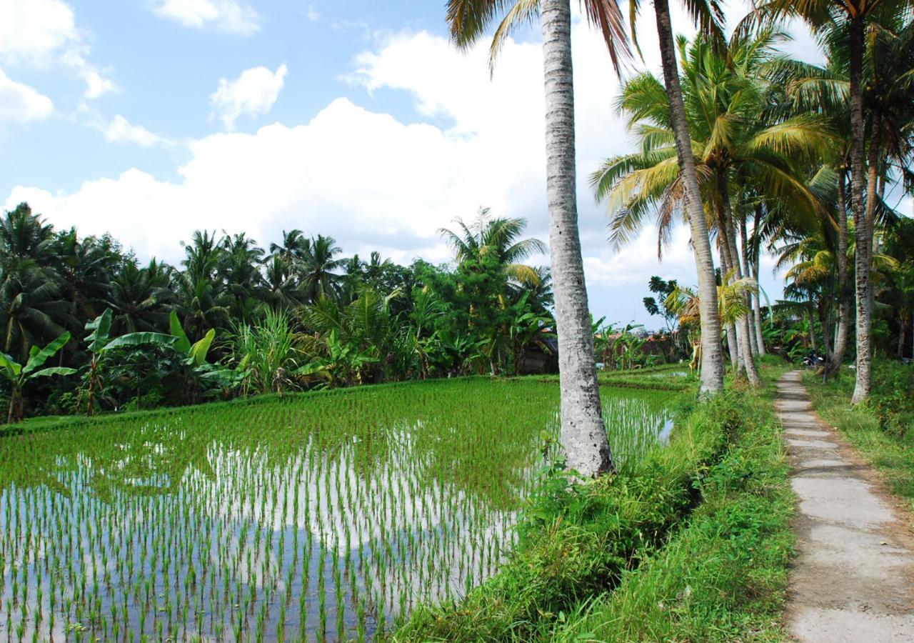 Capung Asri Eco Luxury Resort With Private Pool Villas Bedulu Dış mekan fotoğraf